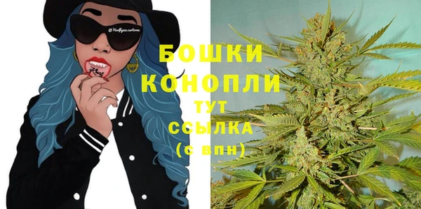 дмт Лиски