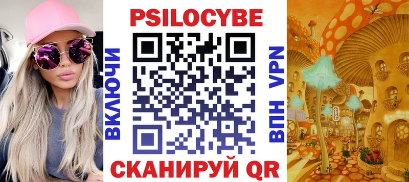Купить где  Кяхта  Галлюциногенные грибы Cubensis 